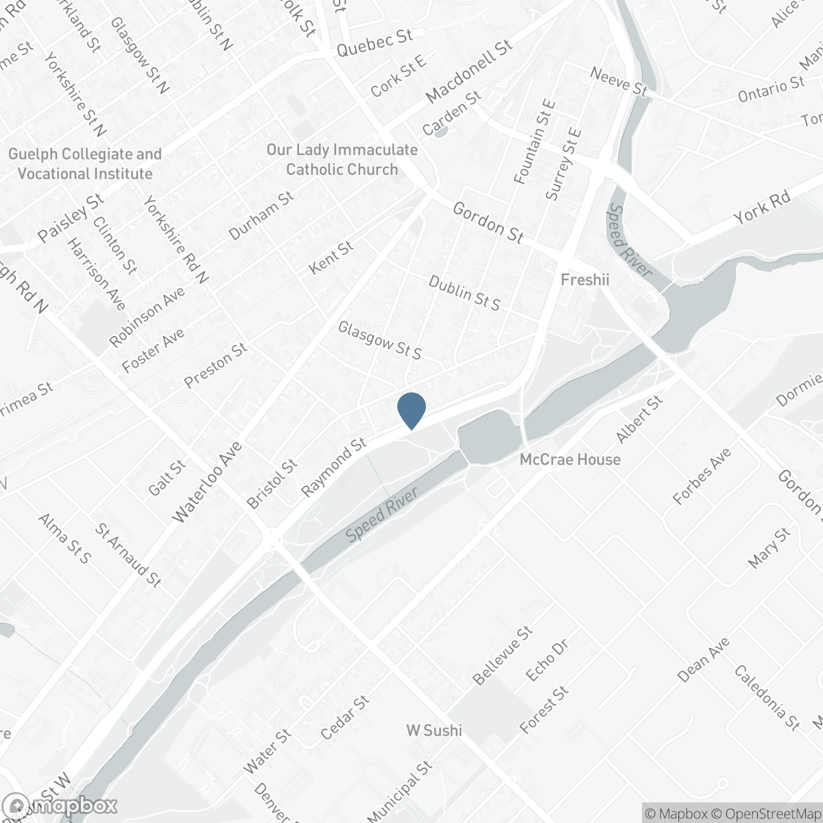 67A RAYMOND Street, Guelph, Ontario N1H 3S4